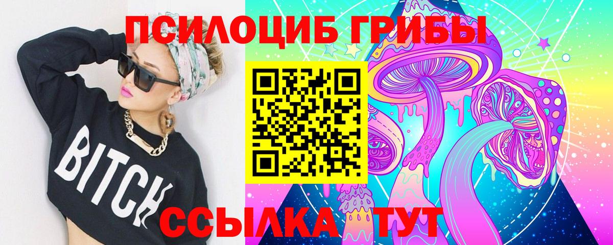 Ногинск  дарнет шоп  Вход с VPN  Галлюциногенные грибы мицелий 
